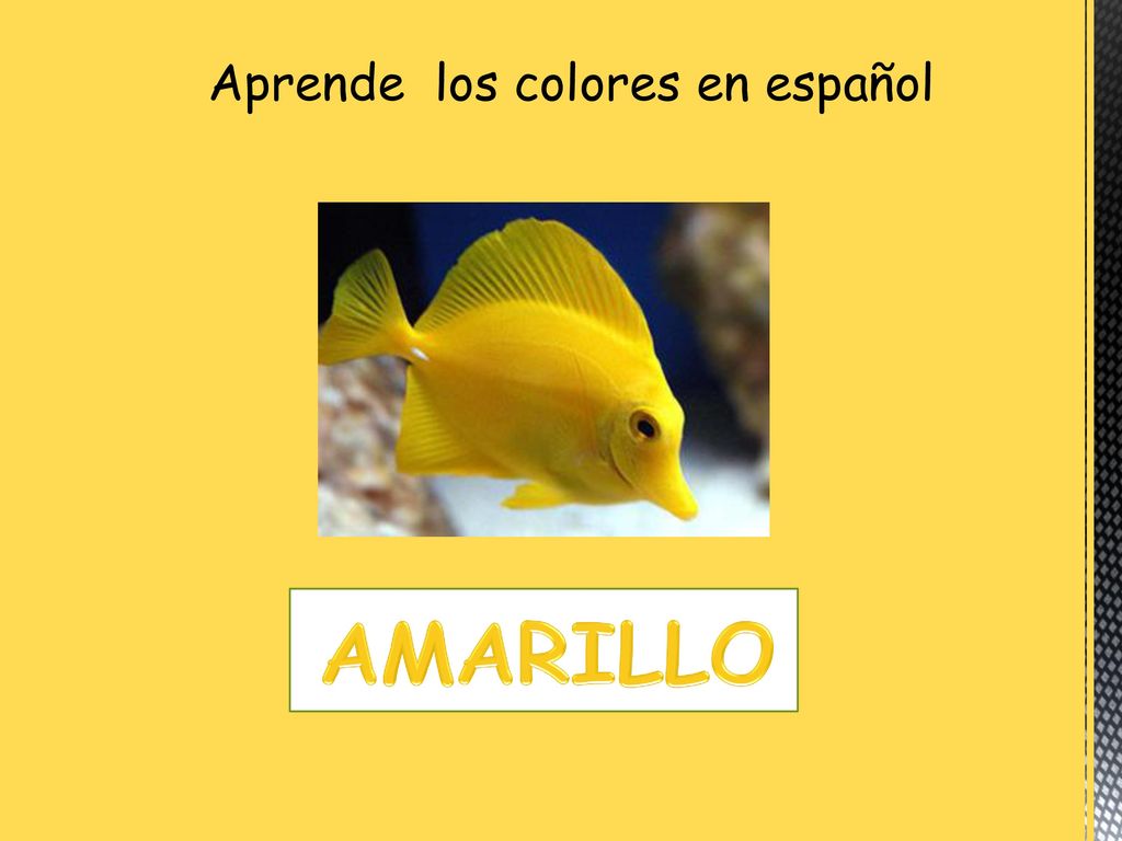 Aprende los colores en español