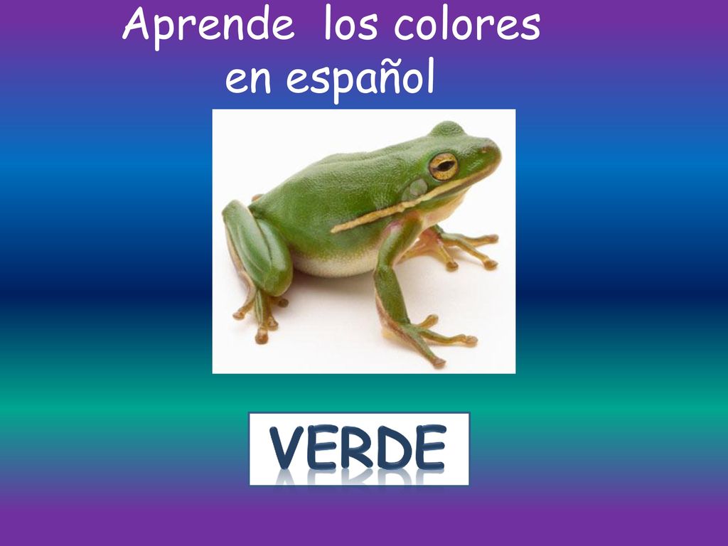 Aprende los colores en español