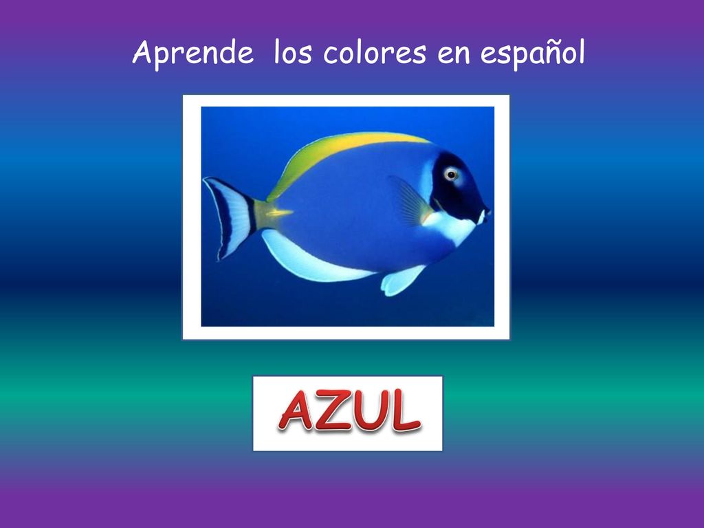 Aprende los colores en español