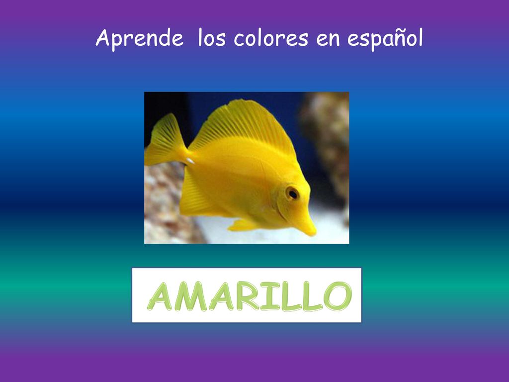 Aprende los colores en español