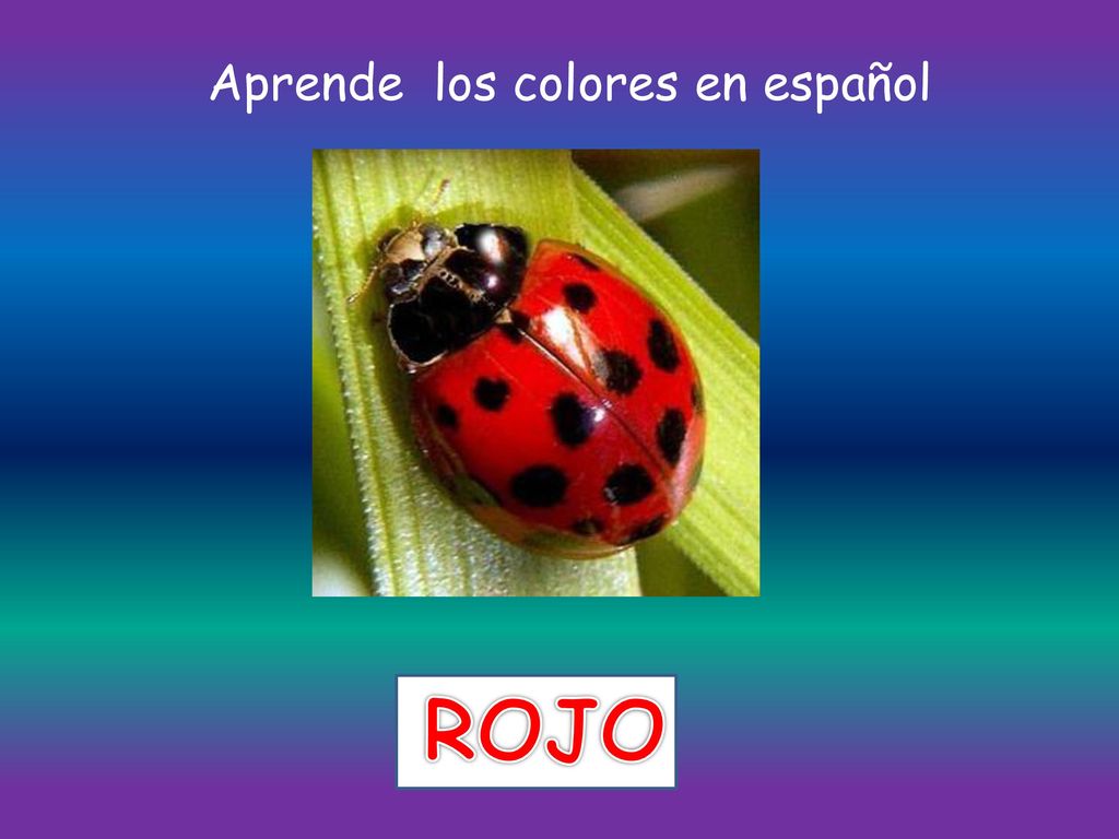 Aprende los colores en español