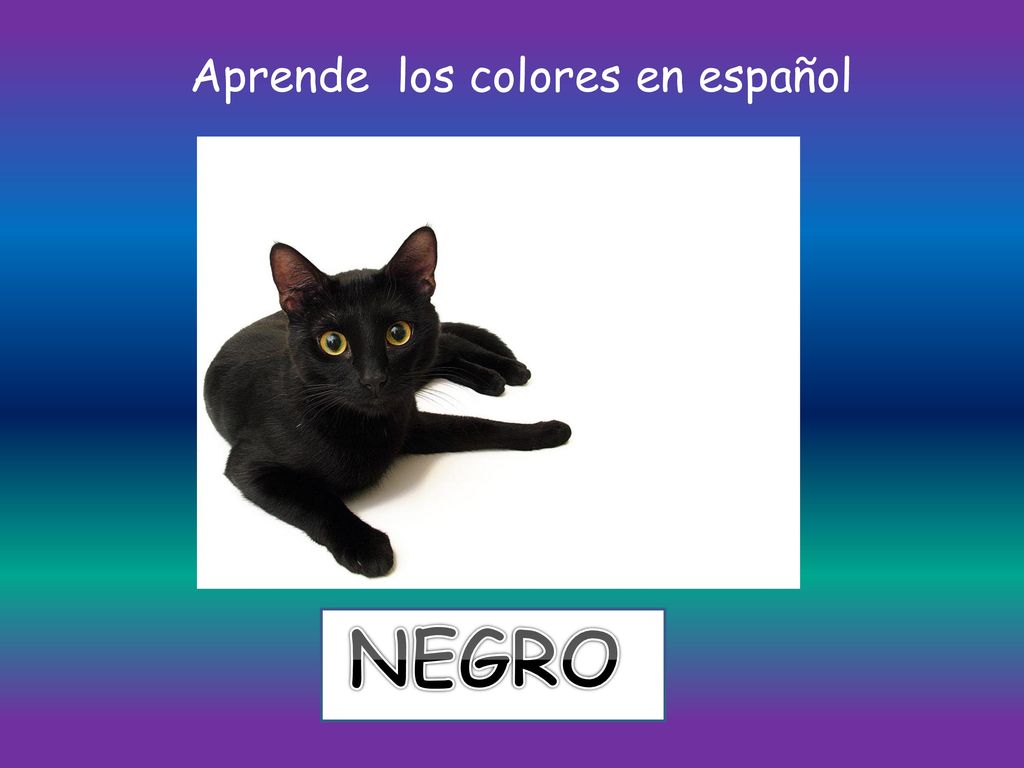 Aprende los colores en español