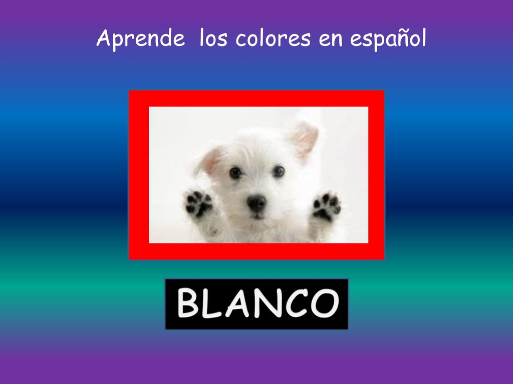 Aprende los colores en español