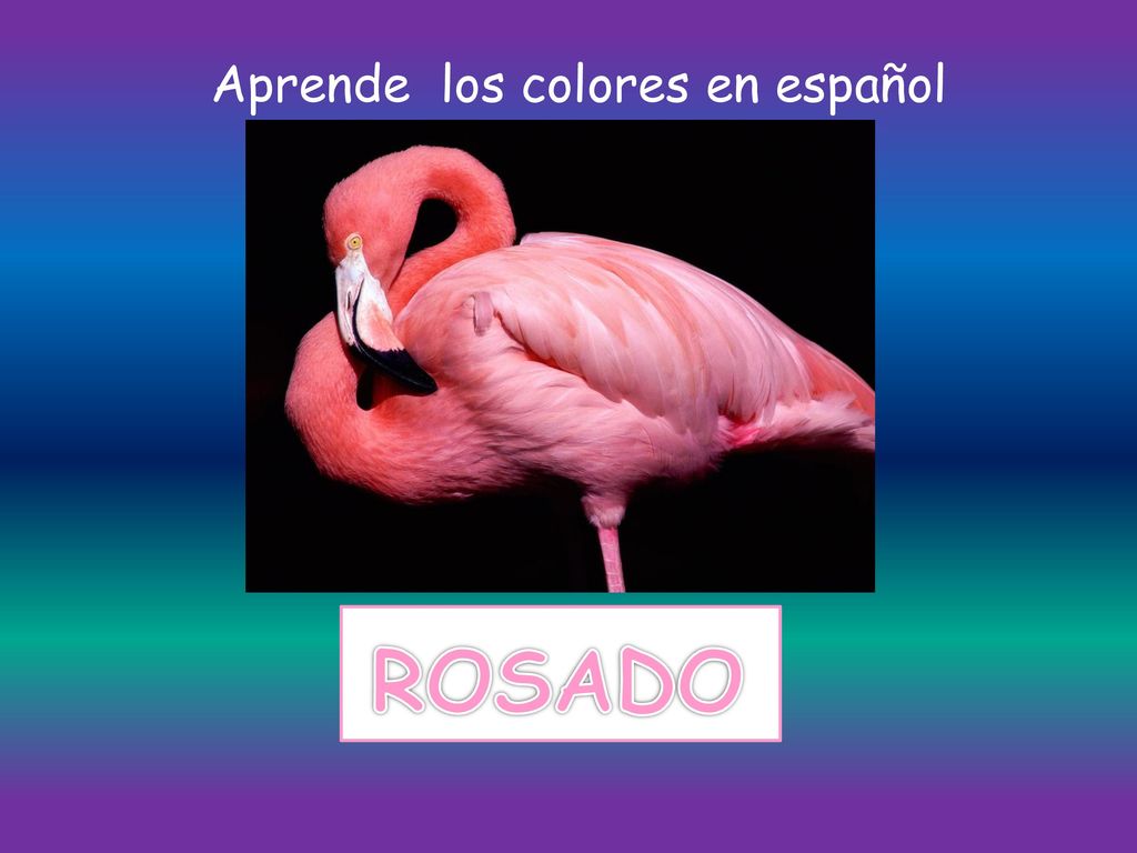Aprende los colores en español