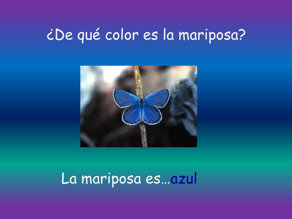 ¿De qué color es la mariposa