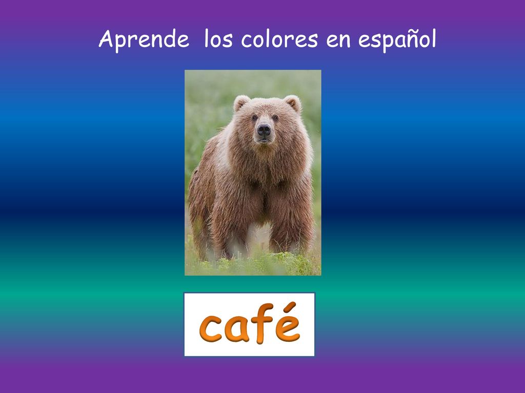 Aprende los colores en español