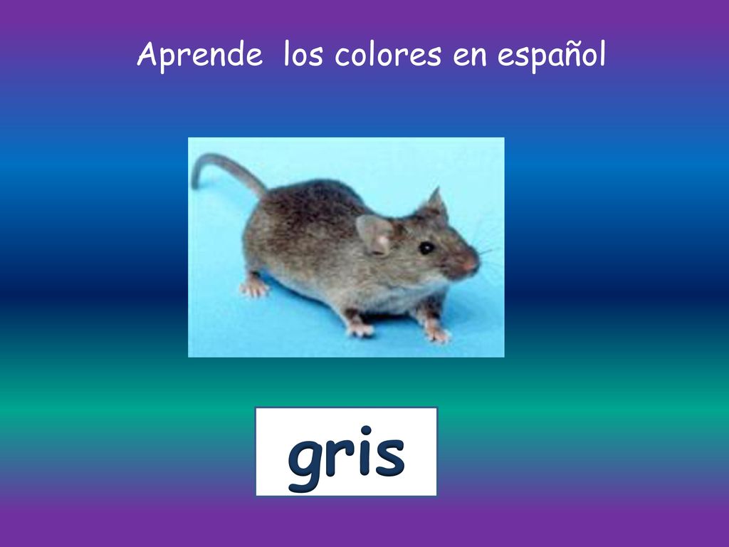 Aprende los colores en español