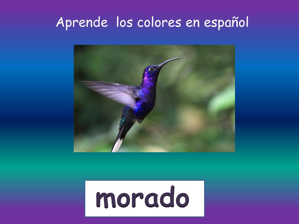 Aprende los colores en español