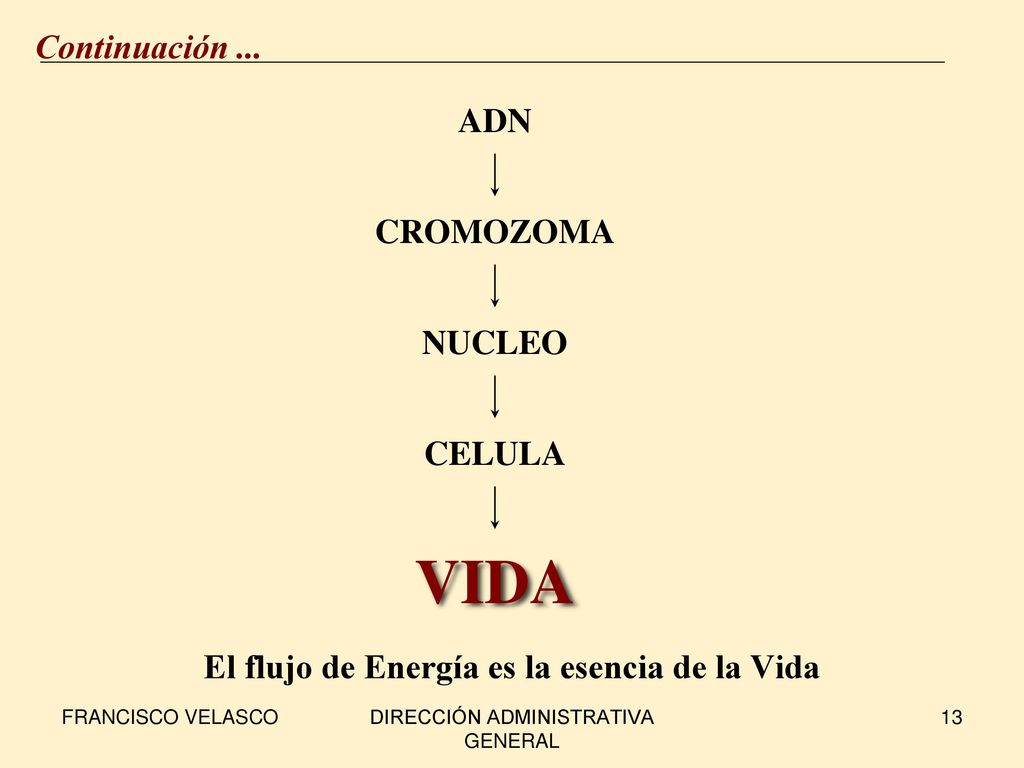 El flujo de Energía es la esencia de la Vida