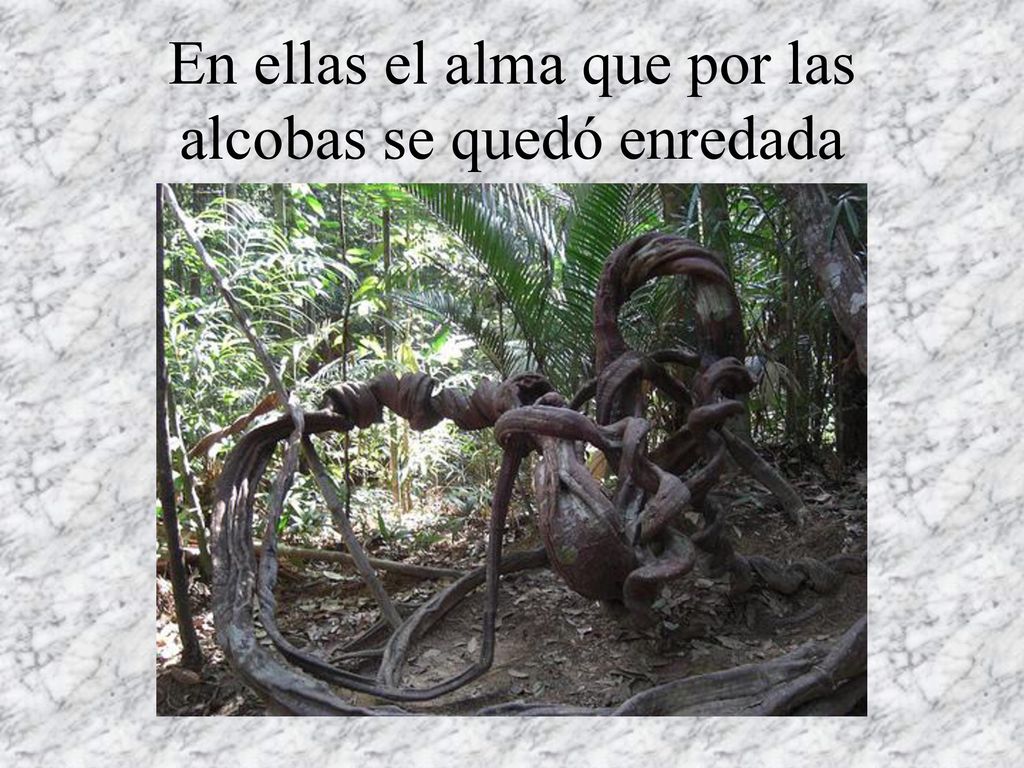 En ellas el alma que por las alcobas se quedó enredada