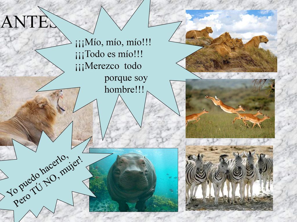 ¡¡¡Mío, mío, mío!!! ¡¡¡Todo es mío!!! ¡¡¡Merezco todo porque soy hombre!!! ANTES. Yo puedo hacerlo,