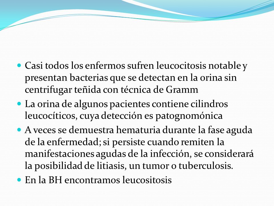Casi todos los enfermos sufren leucocitosis notable y presentan bacterias que se detectan en la orina sin centrifugar teñida con técnica de Gramm