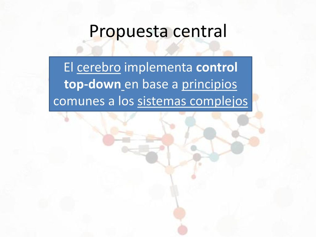 Propuesta central El cerebro implementa control top-down en base a principios comunes a los sistemas complejos.