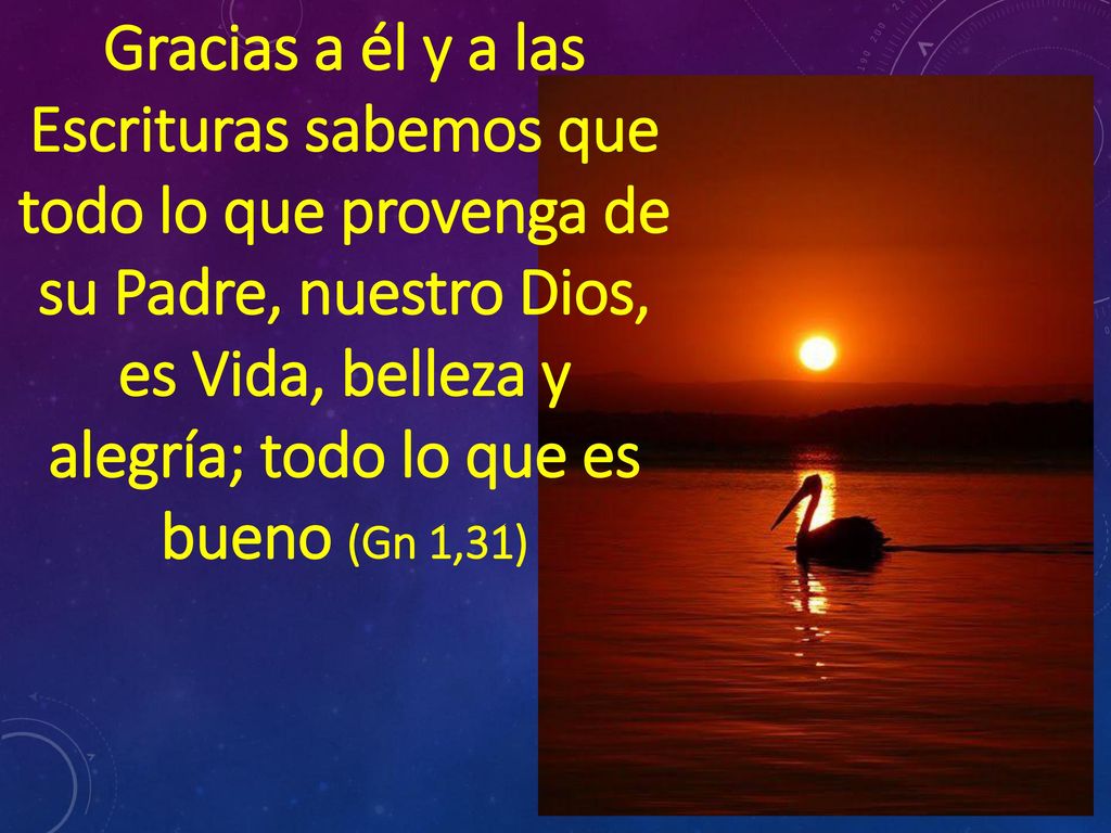Gracias a él y a las Escrituras sabemos que todo lo que provenga de su Padre, nuestro Dios, es Vida, belleza y alegría; todo lo que es bueno (Gn 1,31)