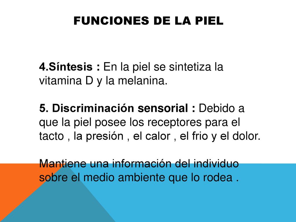 FUNCIONES DE LA PIEL 4.Síntesis : En la piel se sintetiza la vitamina D y la melanina.