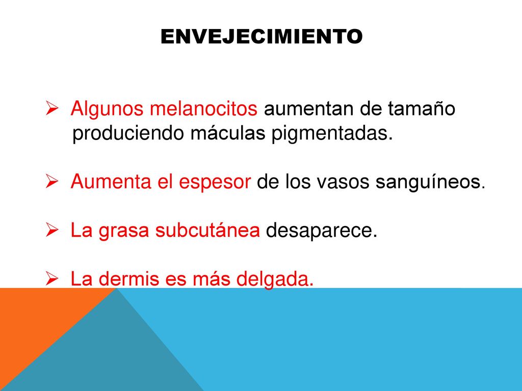 ENVEJECIMIENTO Algunos melanocitos aumentan de tamaño. produciendo máculas pigmentadas. Aumenta el espesor de los vasos sanguíneos.