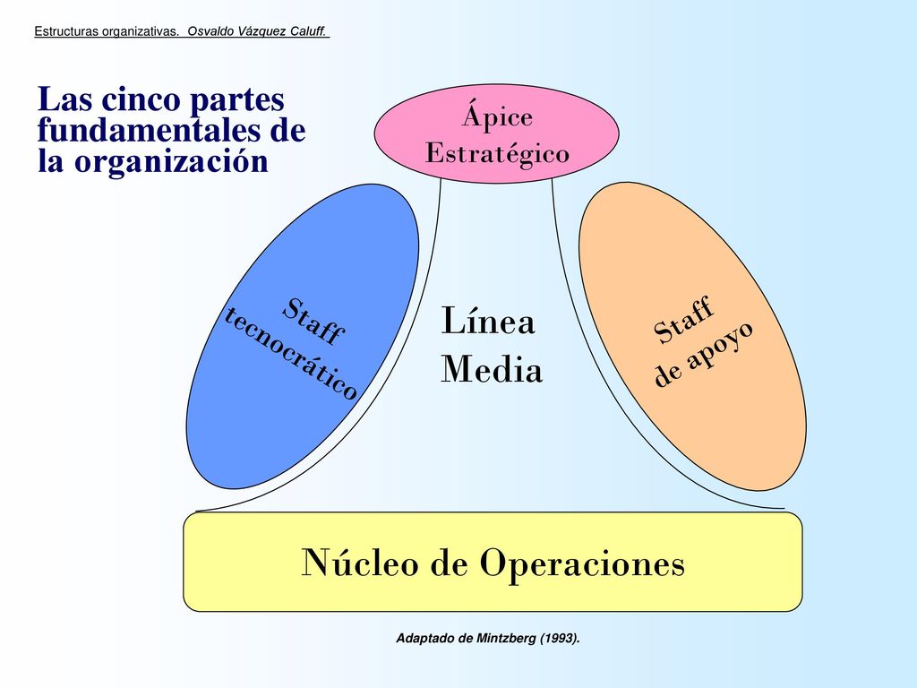 Línea Media Núcleo de Operaciones Las cinco partes fundamentales de