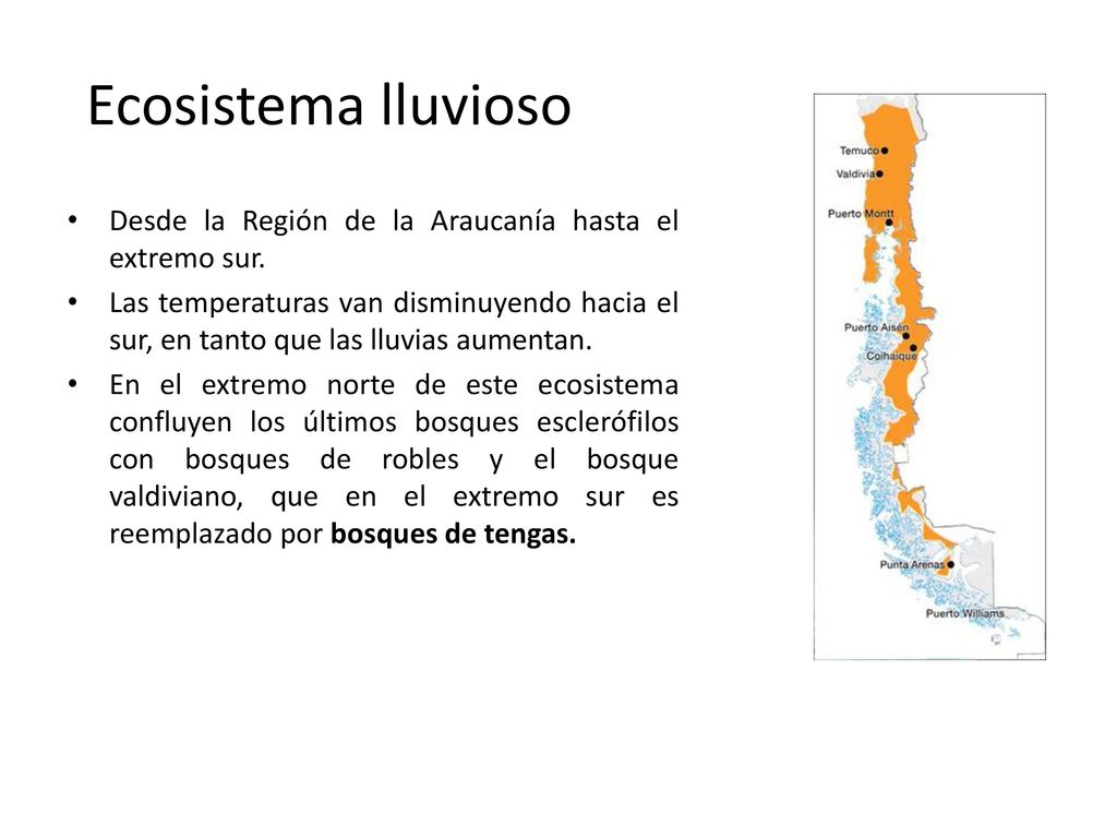 Ecosistema lluvioso Desde la Región de la Araucanía hasta el extremo sur.