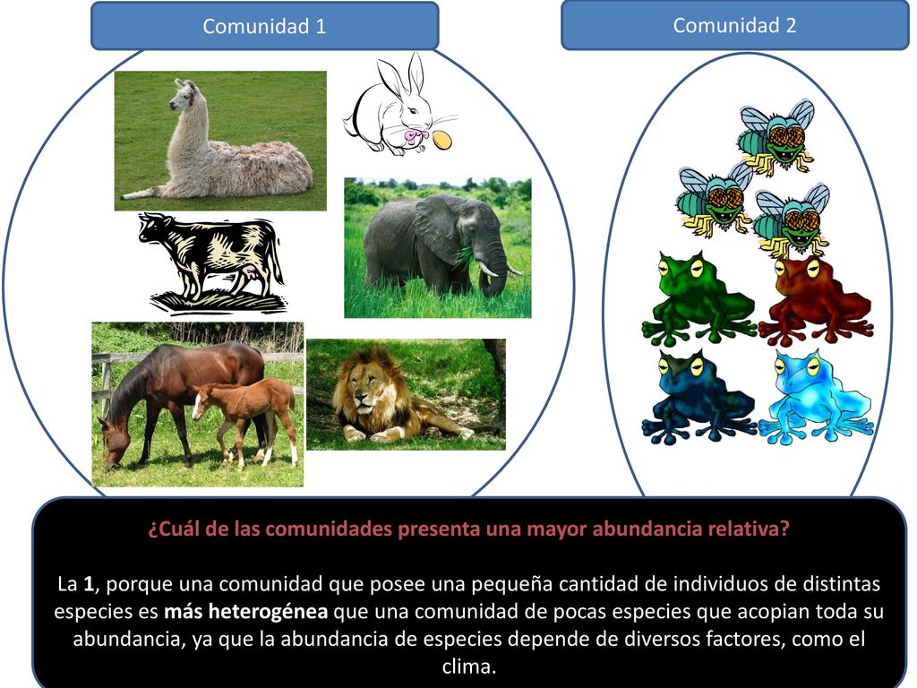 ¿Cuál de las comunidades presenta una mayor abundancia relativa