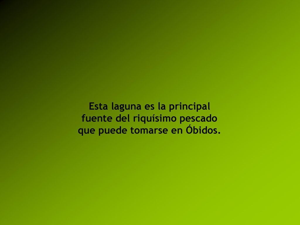 Esta laguna es la principal fuente del riquísimo pescado que puede tomarse en Óbidos.