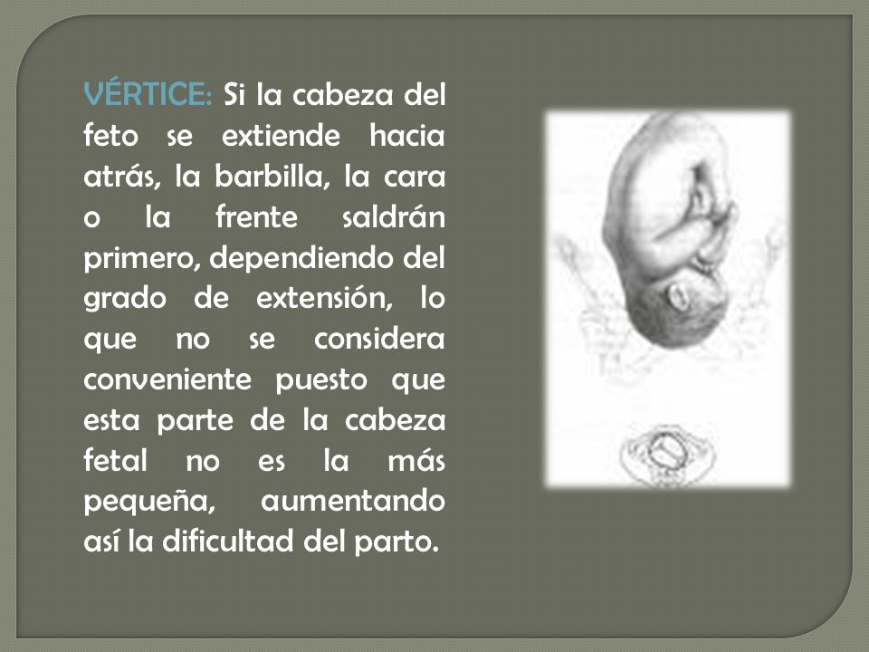 VÉRTICE: Si la cabeza del feto se extiende hacia atrás, la barbilla, la cara o la frente saldrán primero, dependiendo del grado de extensión, lo que no se considera conveniente puesto que esta parte de la cabeza fetal no es la más pequeña, aumentando así la dificultad del parto.
