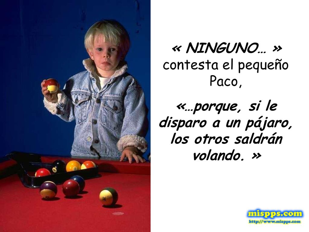 «…porque, si le disparo a un pájaro, los otros saldrán volando. »