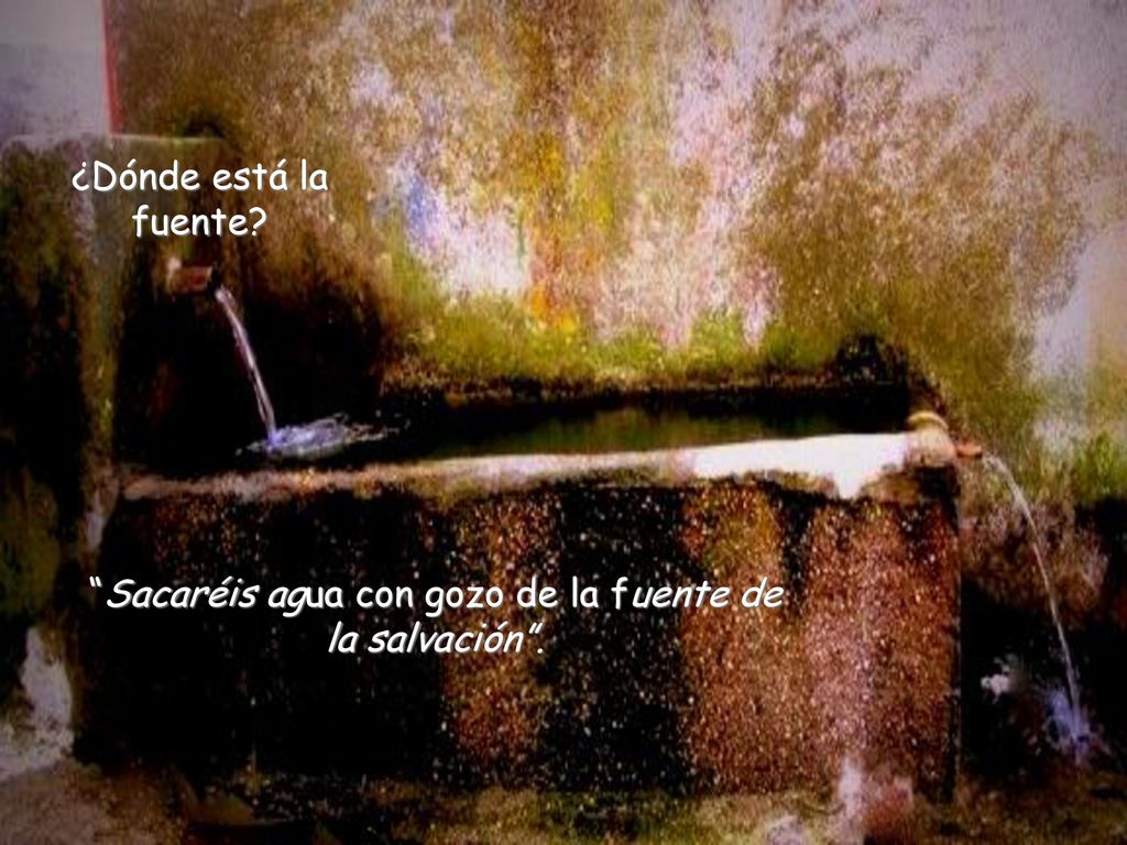 Sacaréis agua con gozo de la fuente de la salvación .