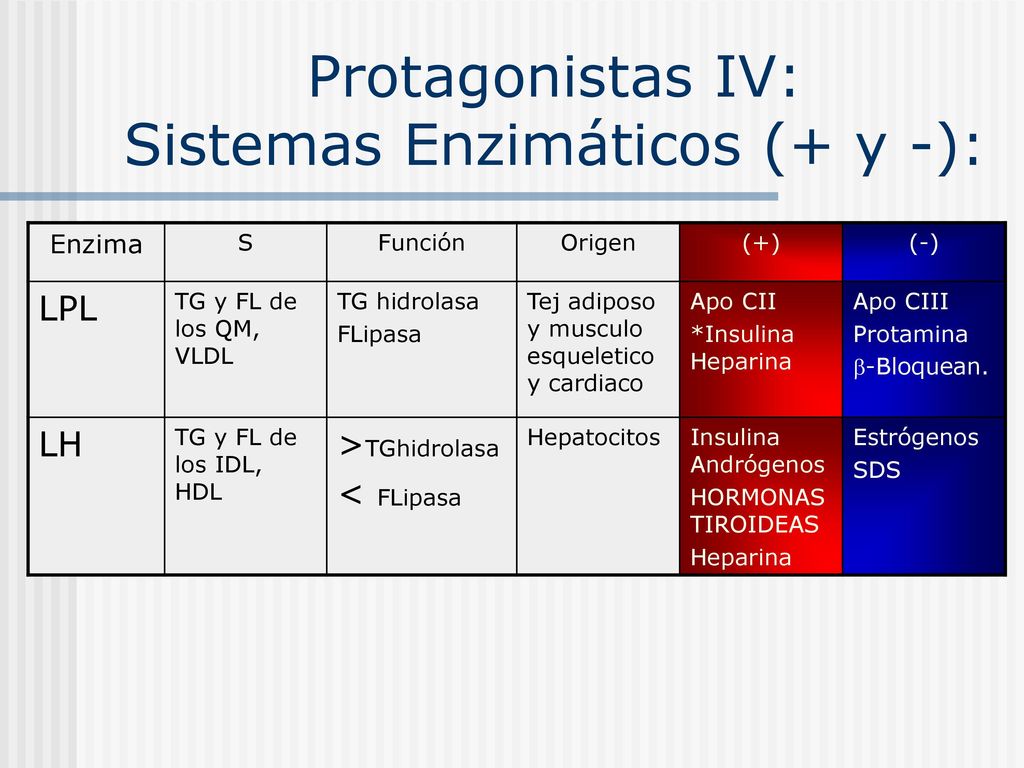 Protagonistas IV: Sistemas Enzimáticos (+ y -):