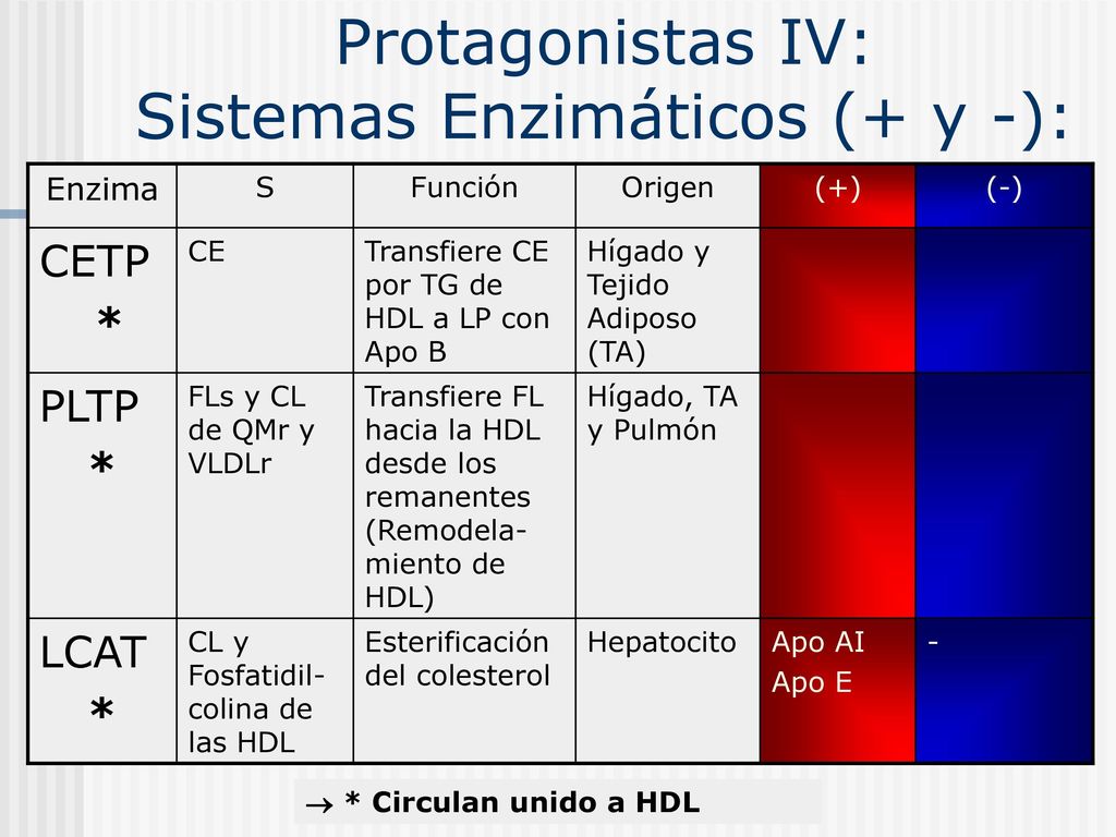 Protagonistas IV: Sistemas Enzimáticos (+ y -):