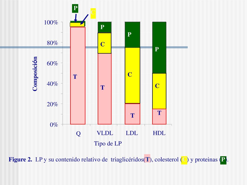 C P. T. 100% T. P. C. C. P. T. C. P. T. 80% 60% Composición. 40% 20% 0% Q. VLDL.