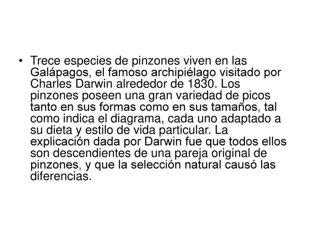 Trece especies de pinzones viven en las Galápagos, el famoso archipiélago visitado por Charles Darwin alrededor de 1830.