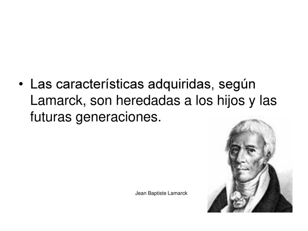Las características adquiridas, según Lamarck, son heredadas a los hijos y las futuras generaciones.