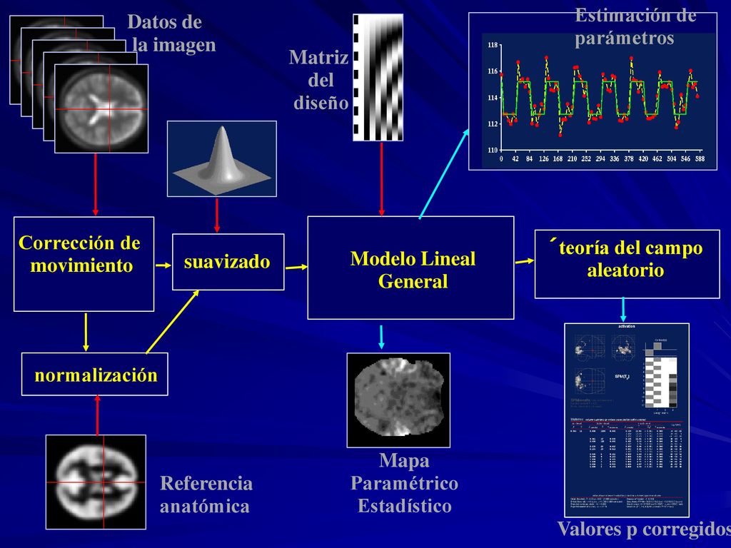 Estimación de parámetros. Datos de. la imagen. Matriz. del. diseño. Corrección de. movimiento.