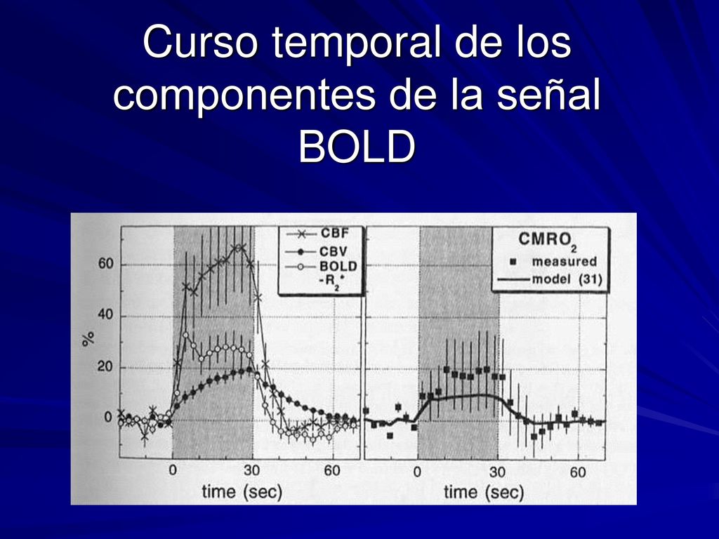 Curso temporal de los componentes de la señal BOLD