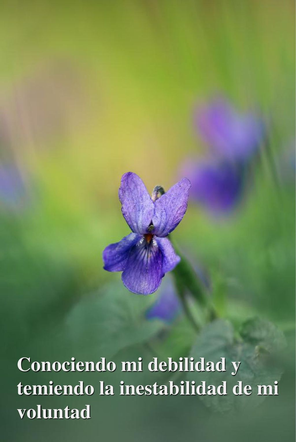 Conociendo mi debilidad y temiendo la inestabilidad de mi voluntad