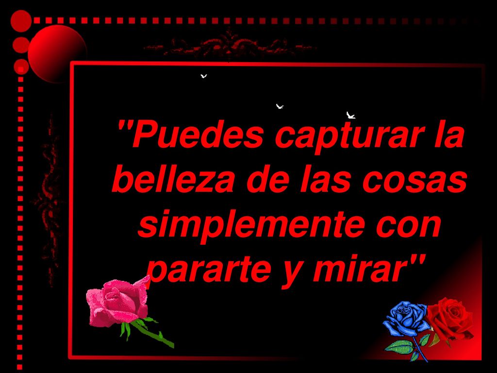 Puedes capturar la belleza de las cosas simplemente con pararte y mirar