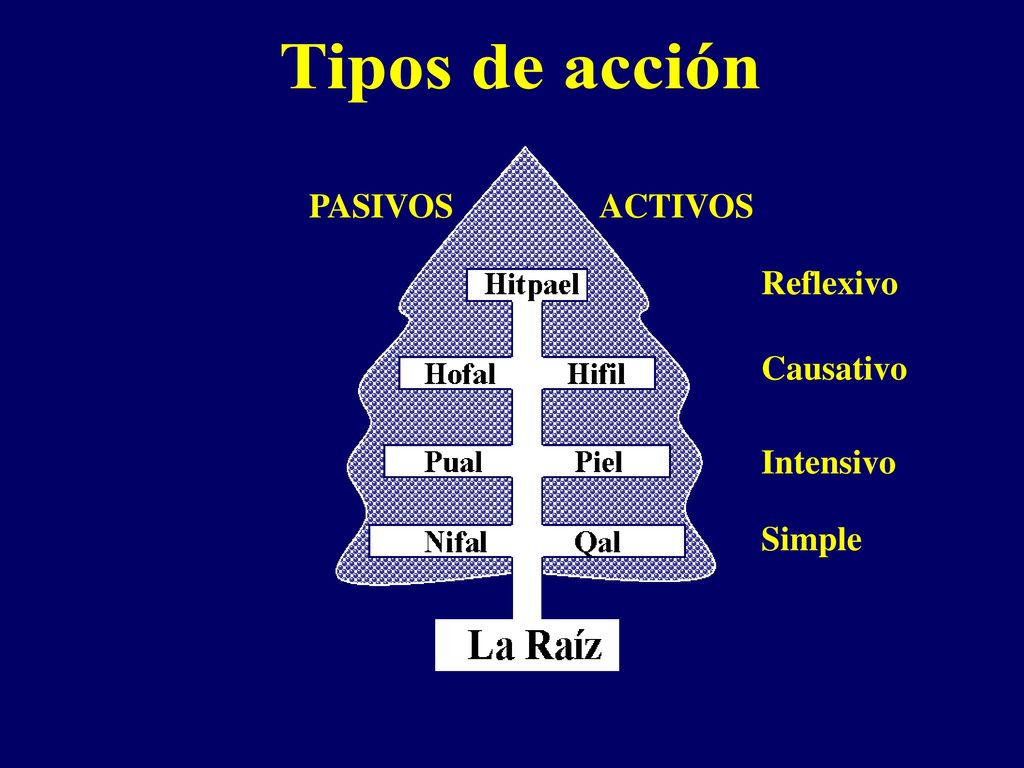 Tipos de acción PASIVOS ACTIVOS Reflexivo Causativo Intensivo Simple