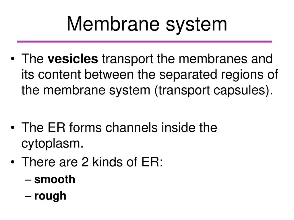 Membrane system The vesicles transport the membranes and its content between the separated regions of the membrane system (transport capsules).