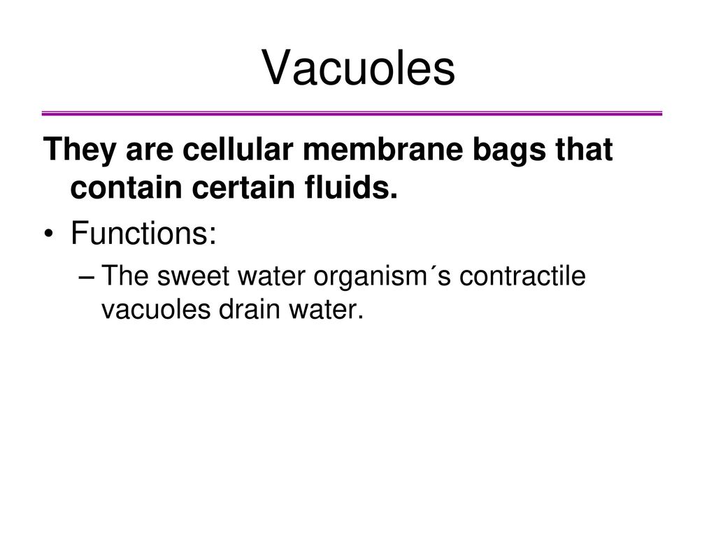Vacuoles They are cellular membrane bags that contain certain fluids.