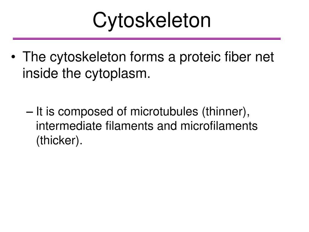Cytoskeleton The cytoskeleton forms a proteic fiber net inside the cytoplasm.