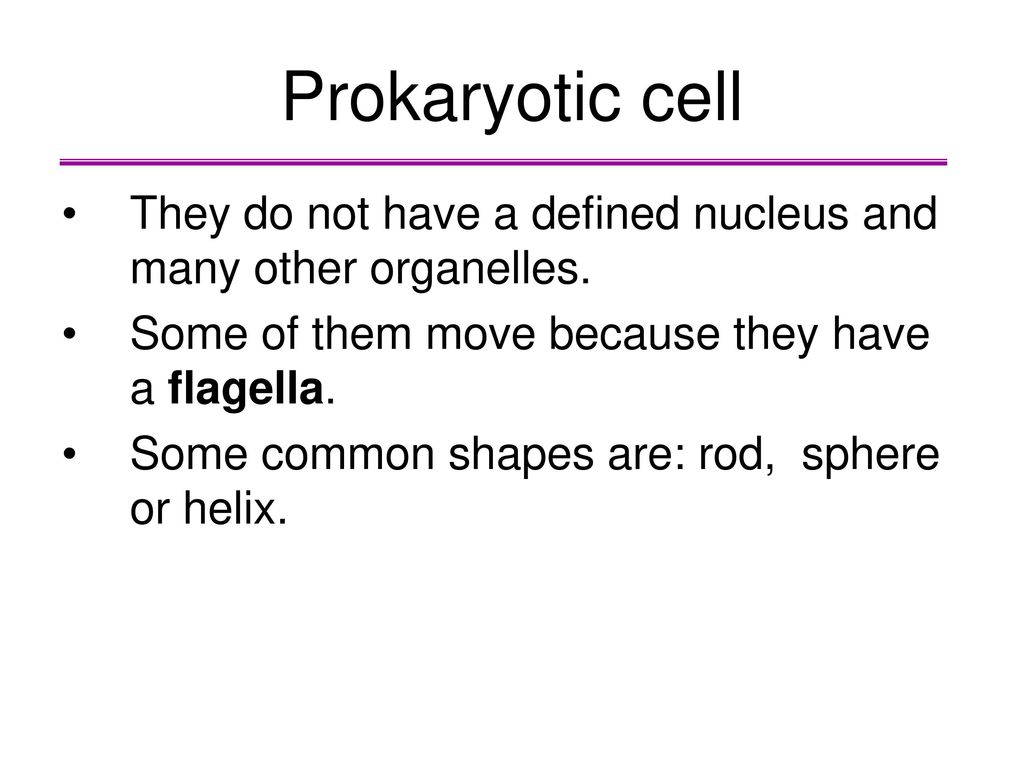Prokaryotic cell They do not have a defined nucleus and many other organelles. Some of them move because they have a flagella.