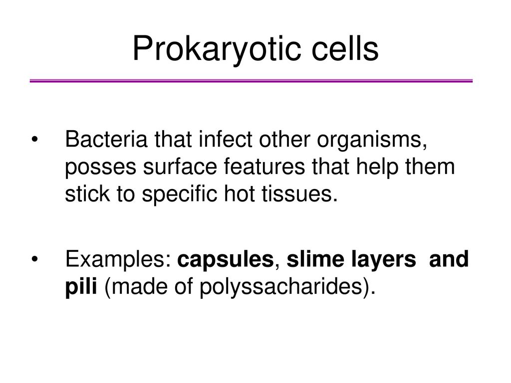 Prokaryotic cells Bacteria that infect other organisms, posses surface features that help them stick to specific hot tissues.
