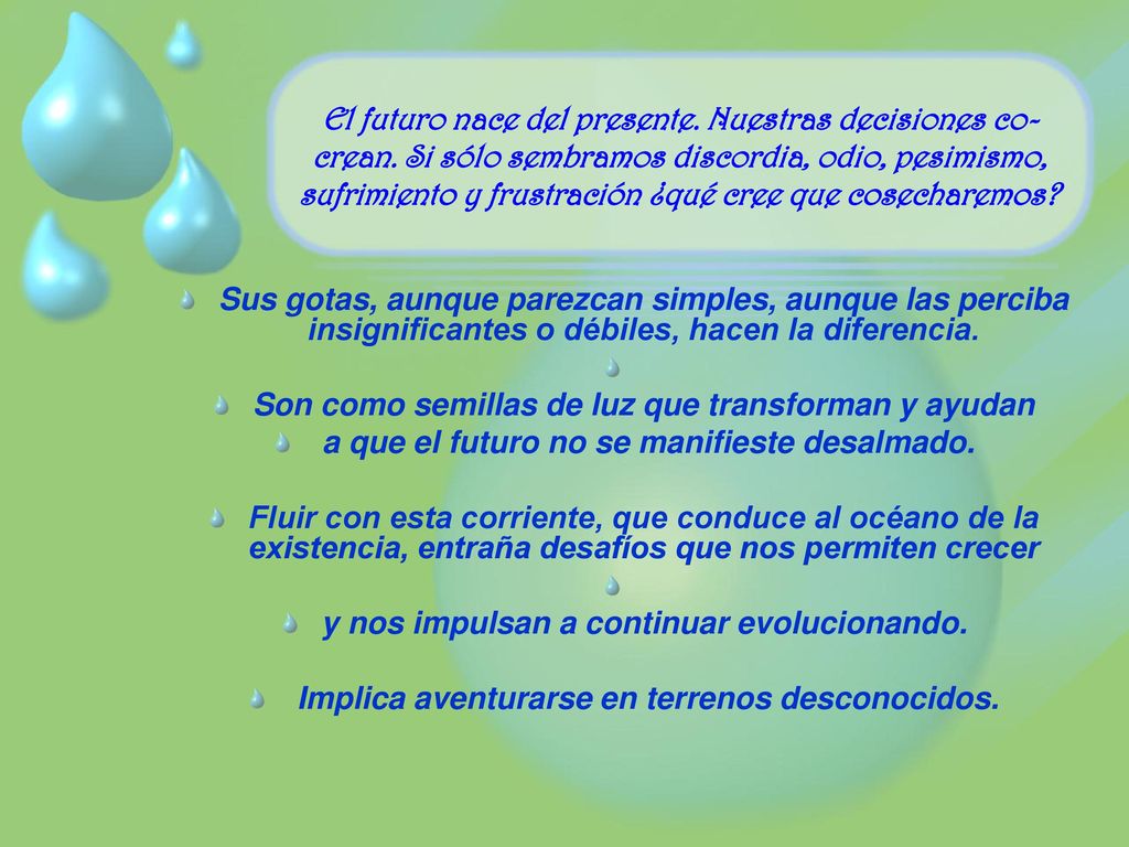 Son como semillas de luz que transforman y ayudan