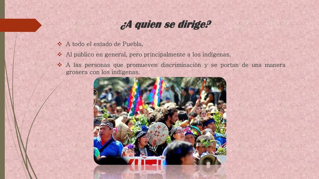 ¿A quien se dirige A todo el estado de Puebla.