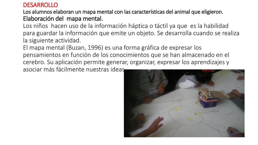 DESARROLLO Los alumnos elaboran un mapa mental con las características del animal que eligieron.