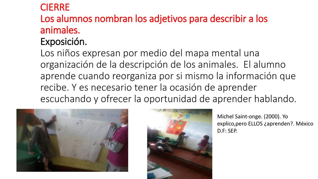 CIERRE Los alumnos nombran los adjetivos para describir a los animales