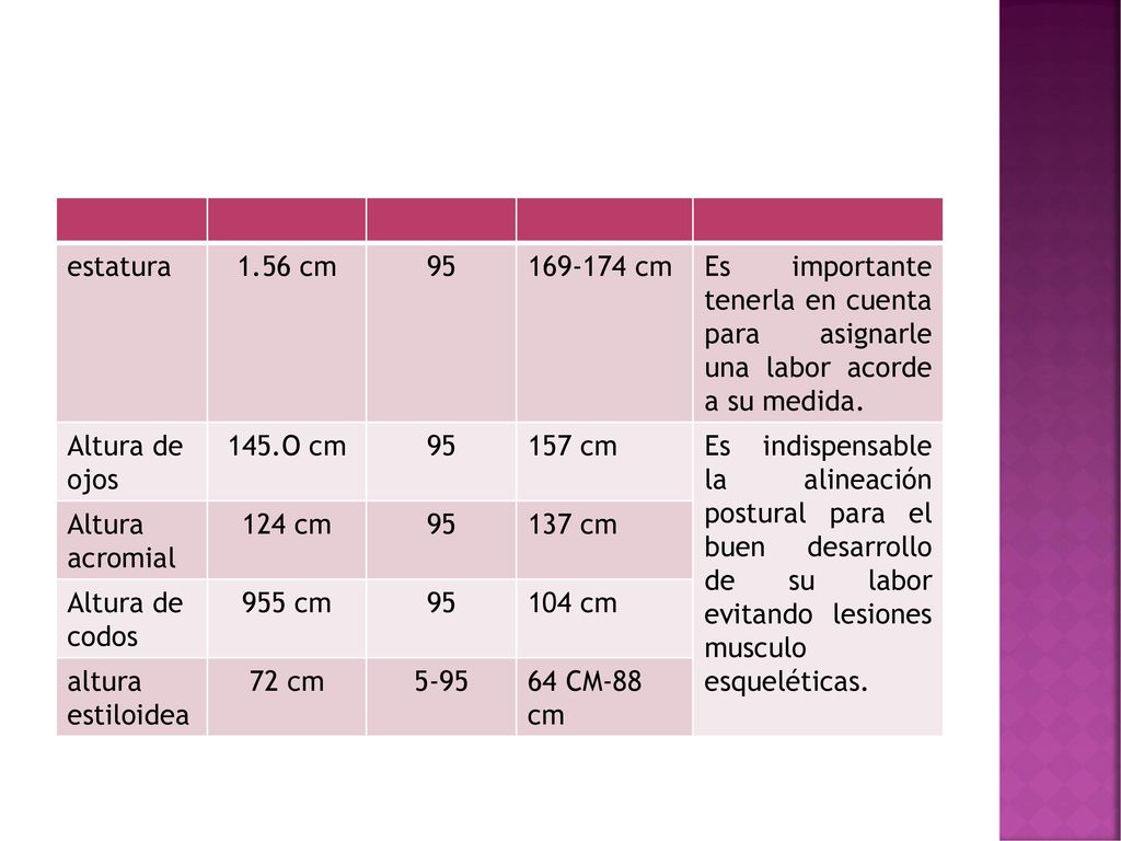 estatura 1.56 cm cm. Es importante tenerla en cuenta para asignarle una labor acorde a su medida.