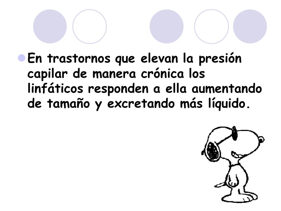 En trastornos que elevan la presión capilar de manera crónica los linfáticos responden a ella aumentando de tamaño y excretando más líquido.