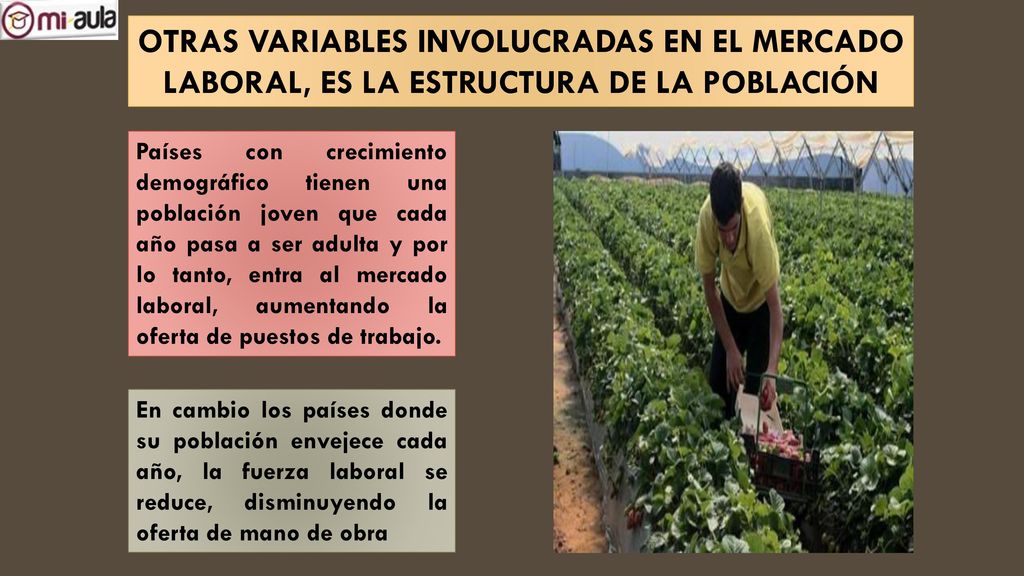 OTRAS VARIABLES INVOLUCRADAS EN EL MERCADO LABORAL, ES LA ESTRUCTURA DE LA POBLACIÓN