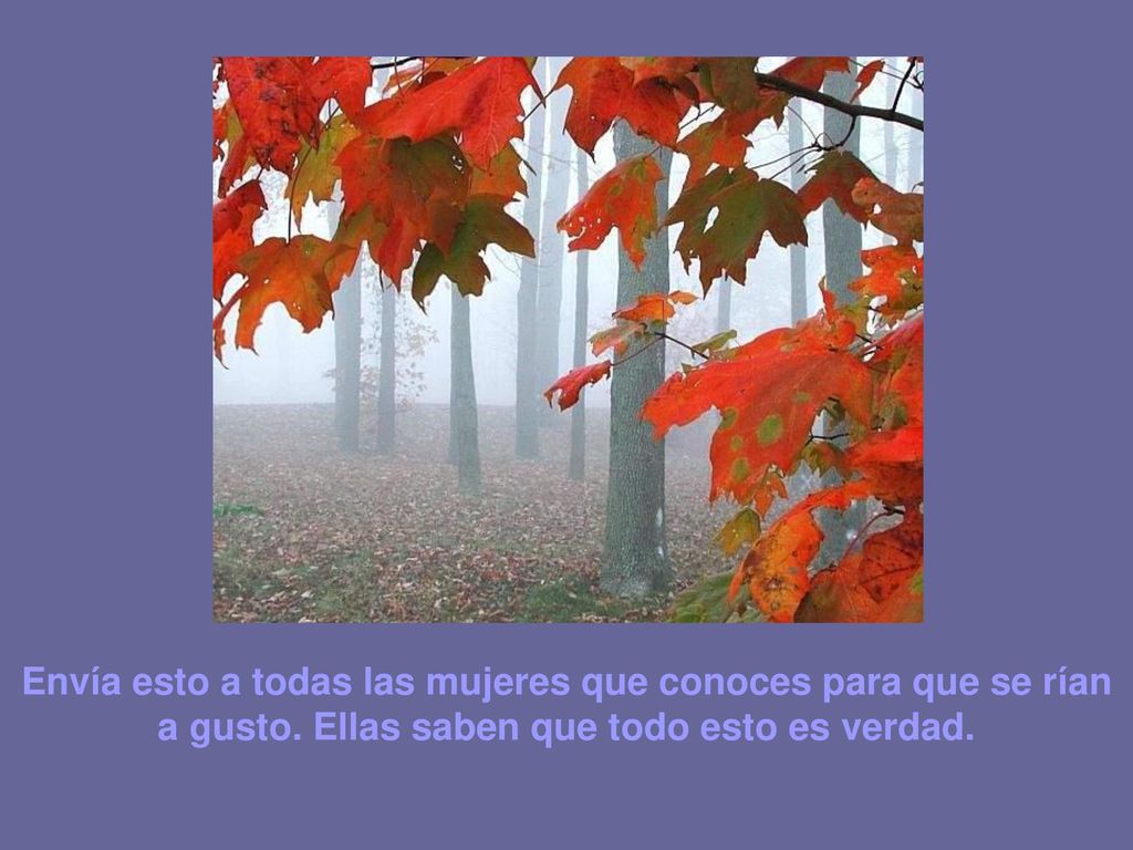 Envía esto a todas las mujeres que conoces para que se rían a gusto